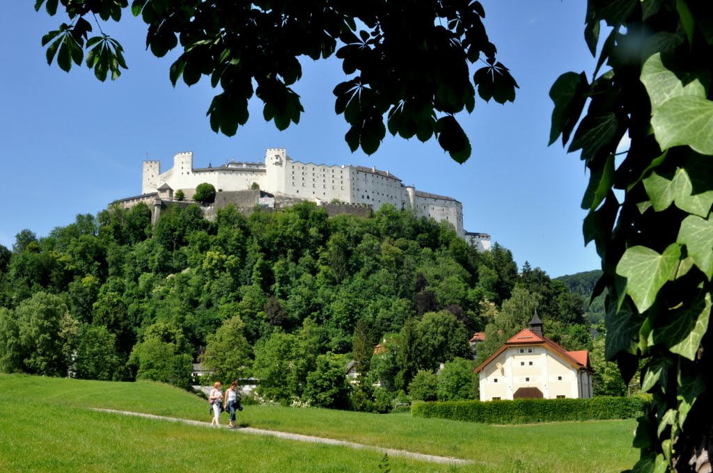 Hohensalzburg by Mamadu