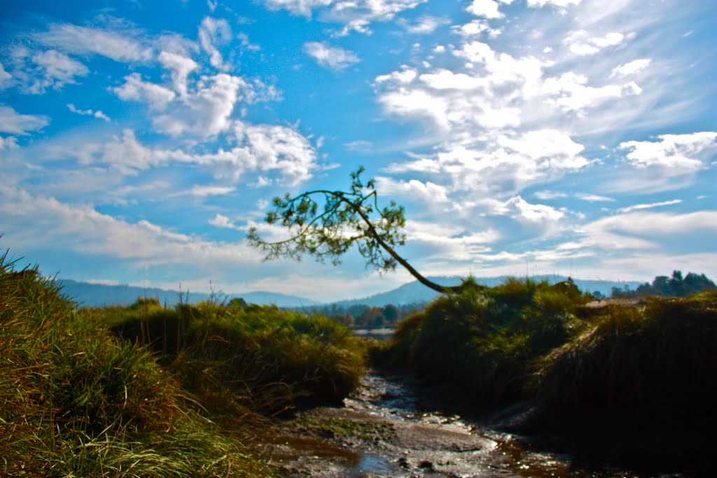 OUTONO NO MEU PAÍS,MARGEM DO RIO LIMA. by Guizel