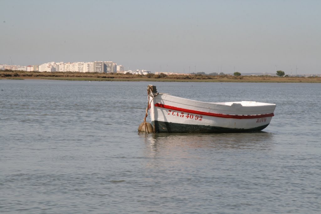 Valdelagrana desde el rio sanpedro by Jesus Mayora