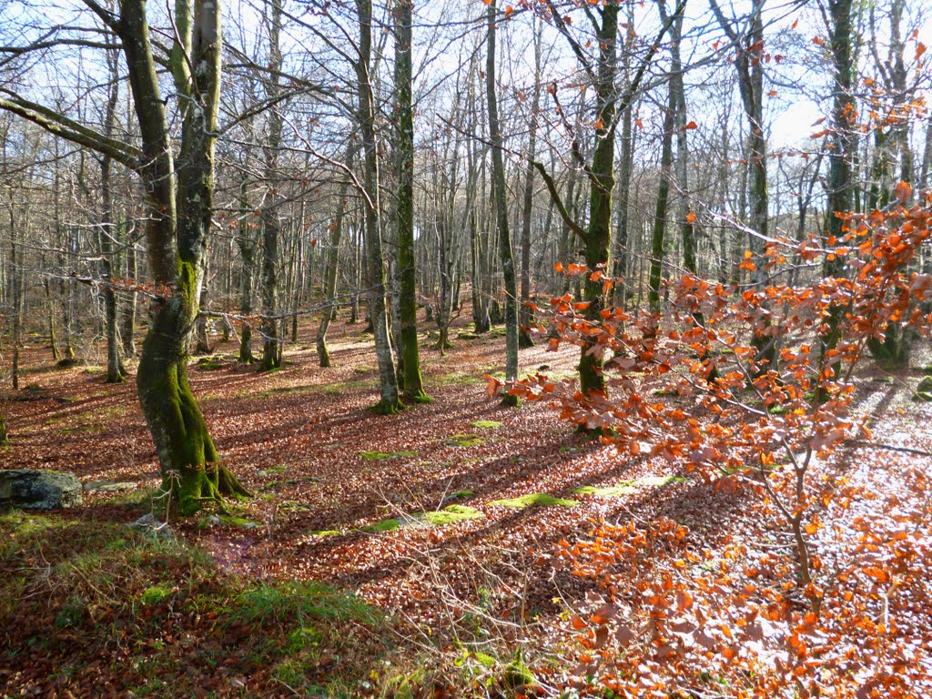 Monte Santiago y color de otoño. by Pac Man