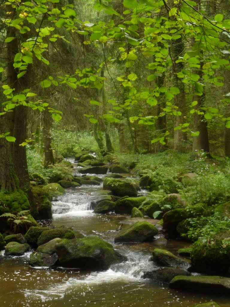 Im Tal der Lerau by richard albrecht