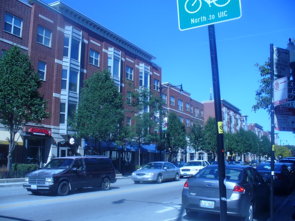 Residences along Maxwell Street & Halstead Street by Susan Satterthwaite