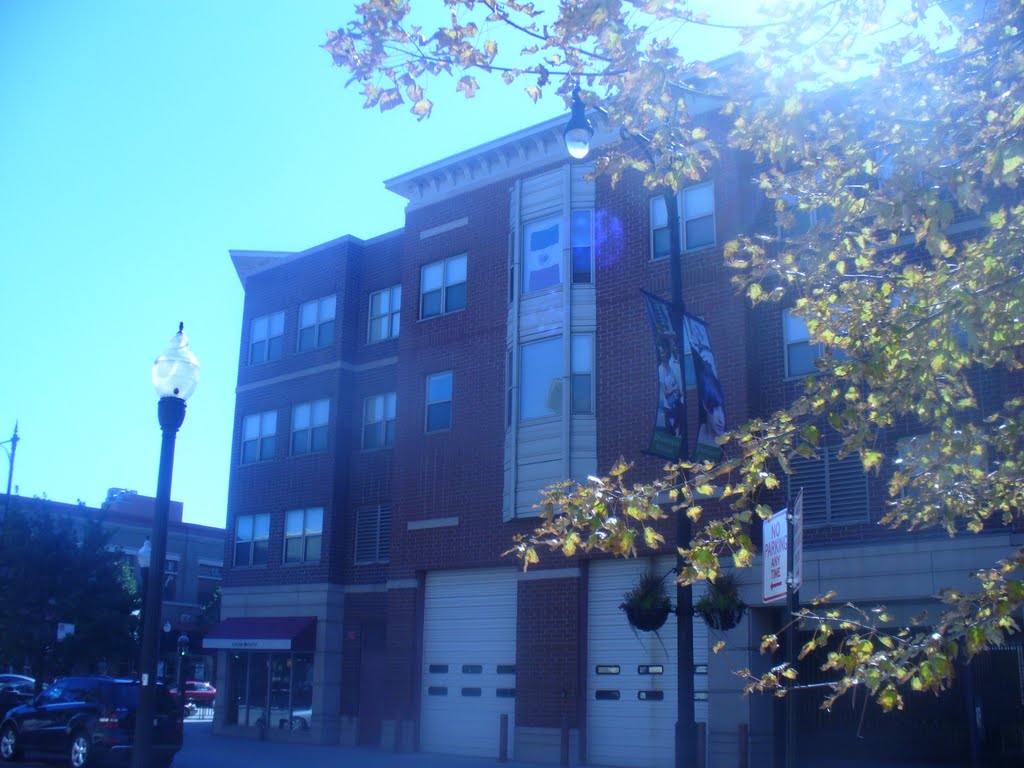 Residences along Maxwell Street by Susan Satterthwaite