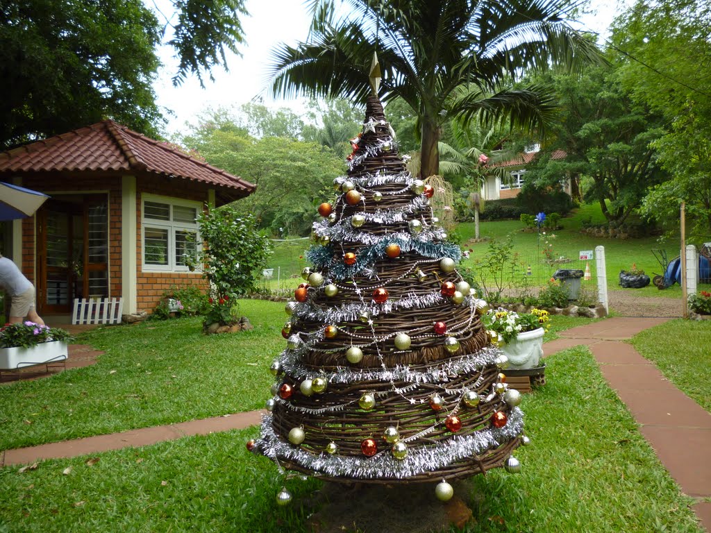 Pinheiro Decorado-Reserva Ecológica Família Lima-Sapiranga by Filipe109