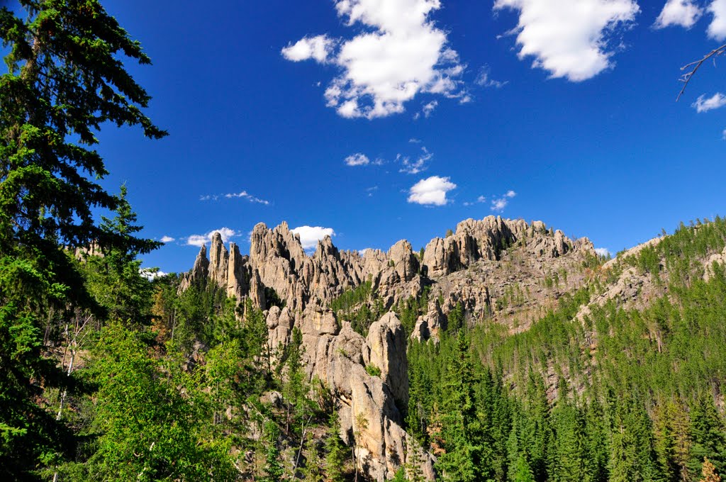 Cathedral Spires in Custer State Park South Dakota by devorejw