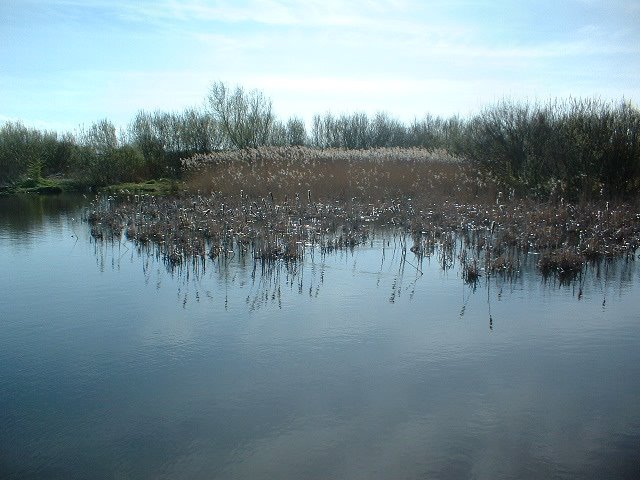 Leasowe, Wirral (04-2006) by olivella ferret