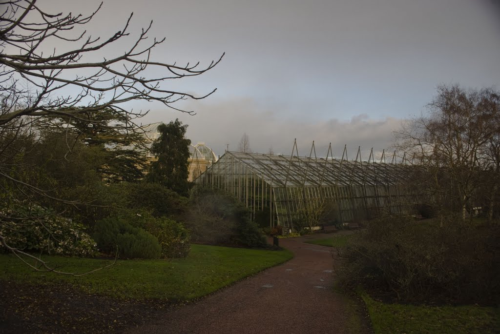 Edinburgh, the Royal Botanic Garden by Maciej Szester