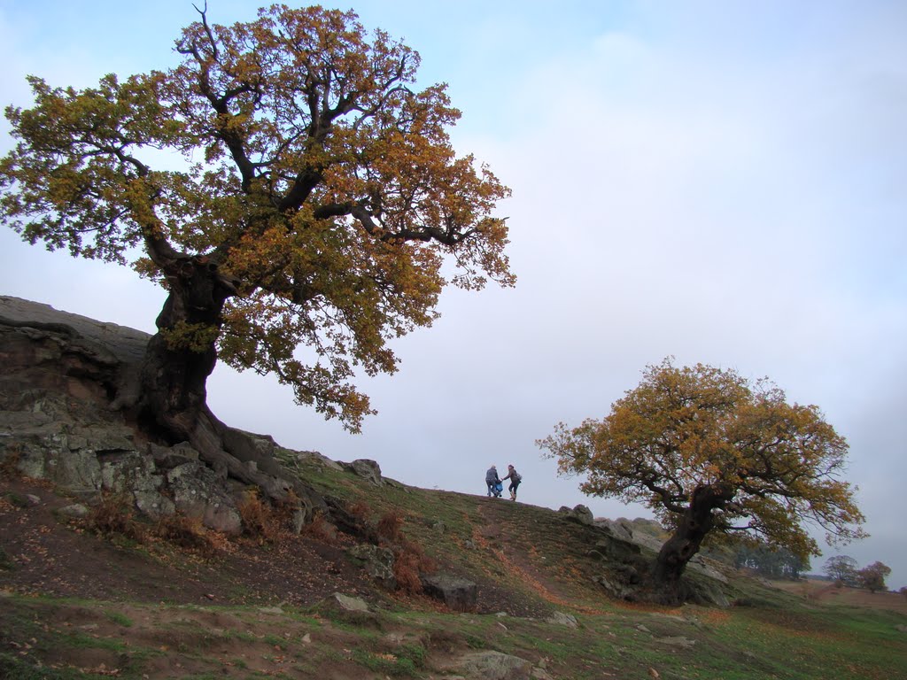 Newtown Linford, Bradgate Park by Mircea Moldovan