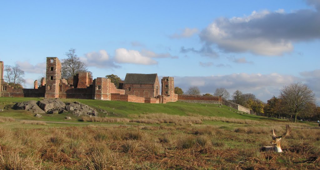 Newtown Linford, Bradgate Park by mMircea