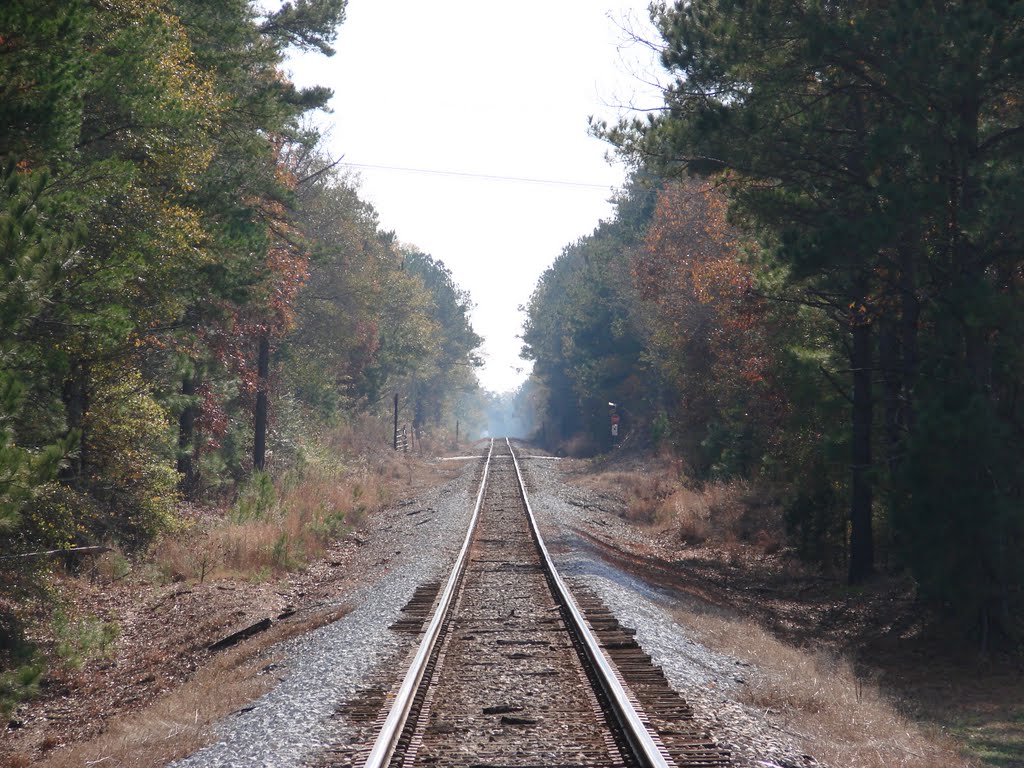 CSX Mainline by wmr36104