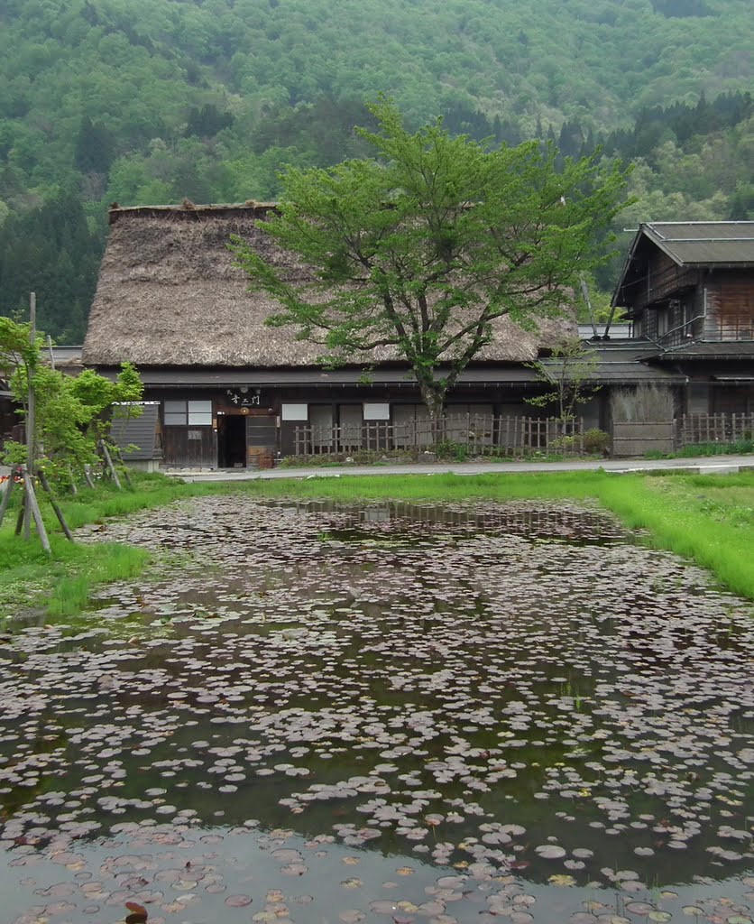 白川村 Shirakawa Village by lienyuan lee