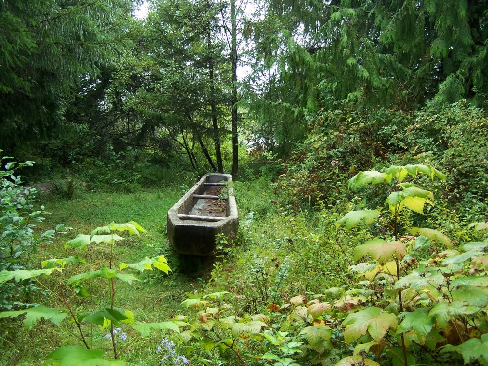 Dugout Canoe Replica, Lewis & Clark National Historic Park by Pamela Elbert Poland