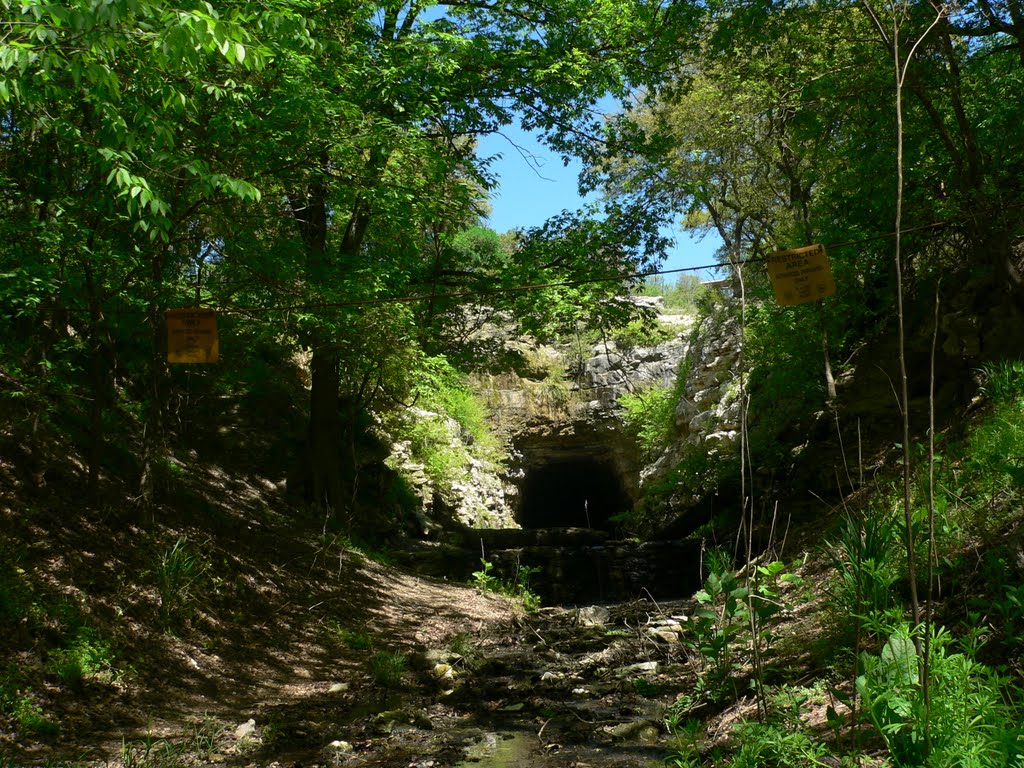 Old Tunnel WMA - Home of Mexican Freetail Bat Colony by rarobbins3365