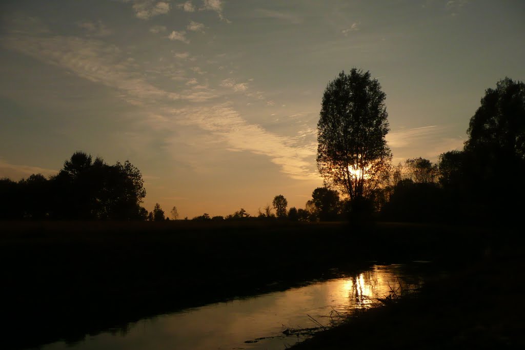 Campagna by Danieli M