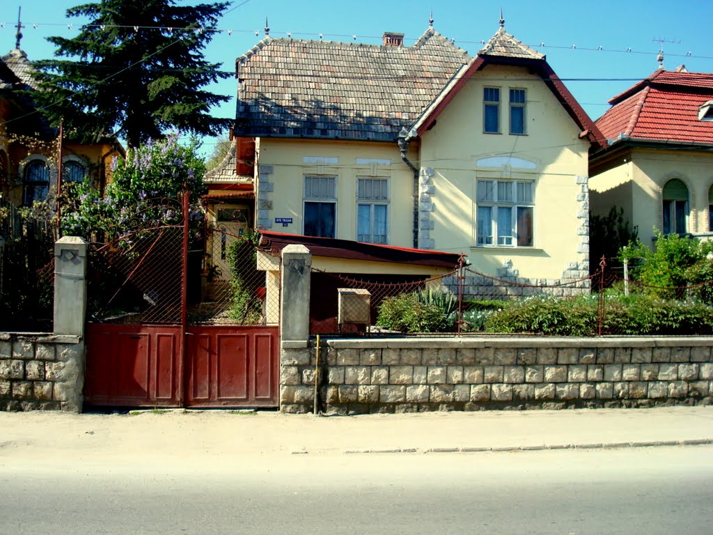 Turda - Str. Traian, nr.111 - (2009.04.27) by Ani Catalina