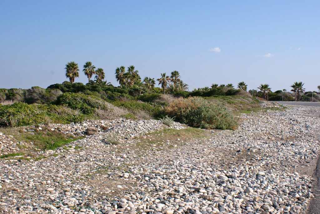 Landscape at the beach at Kourion by Peter VG Kristiansen