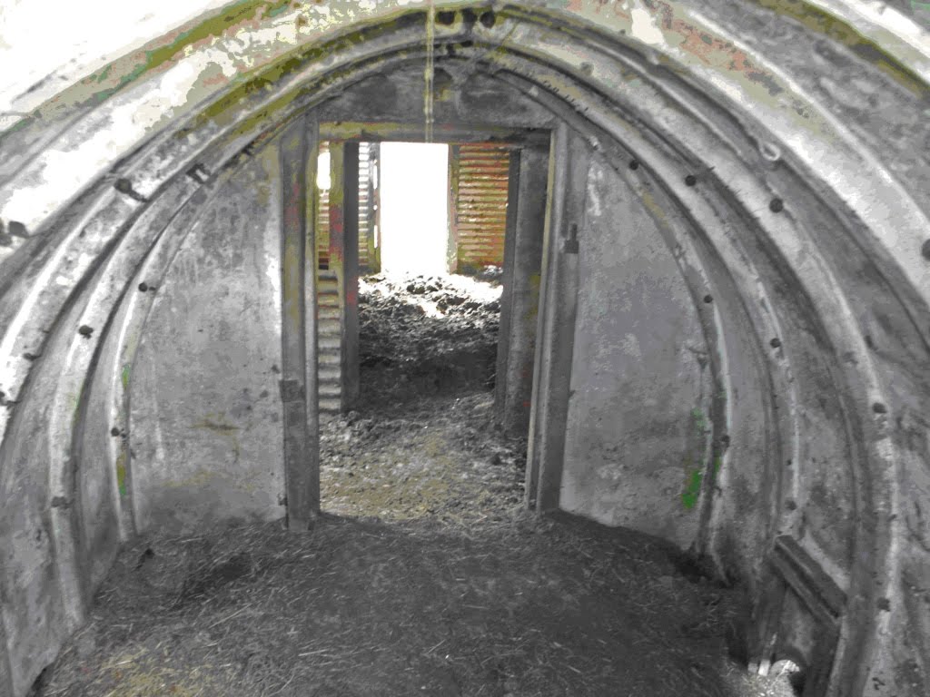 Inside the old decoy shelter at Claverham Drove, by Jusben