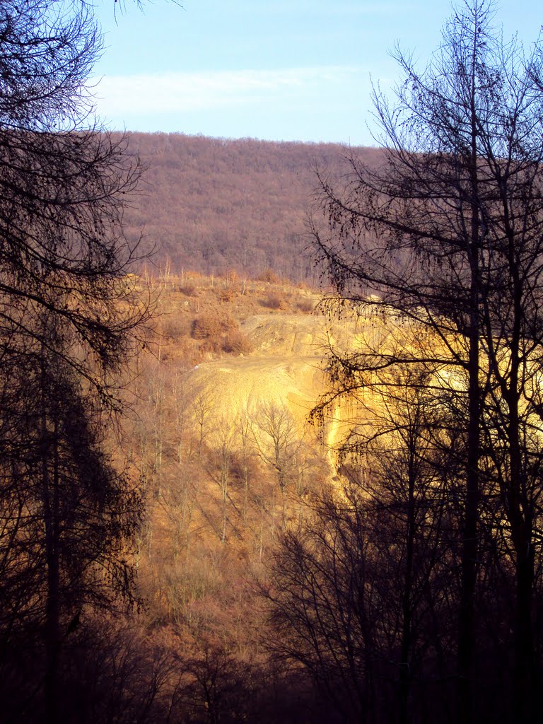 Schneise in Richtung Steinbruch / nyiladék a kőfejtő irányában by Kovács Gábor87