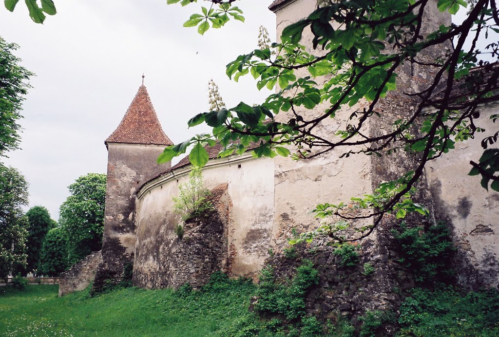 Hărman 507085, Romania by Julian Morris