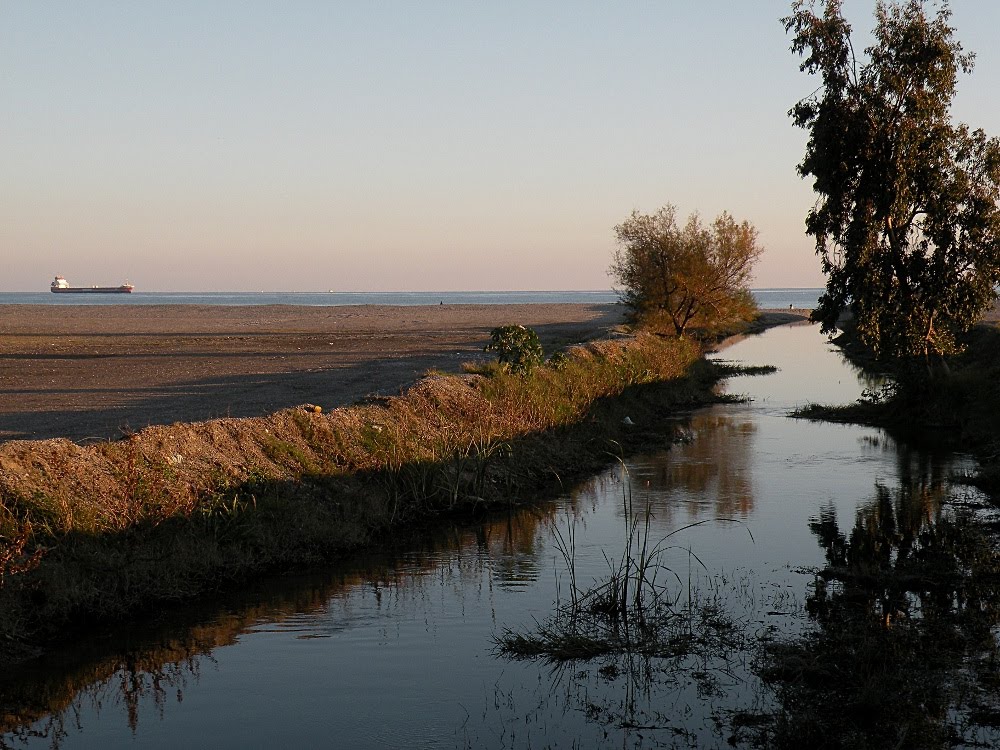 ダヴィ　salida de agua dulce II, diciembre 2011 by davidvg