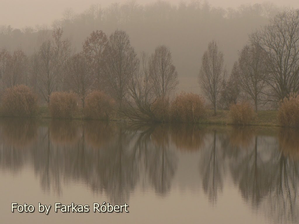 Szekszárd, 7100 Hungary by Roba6120