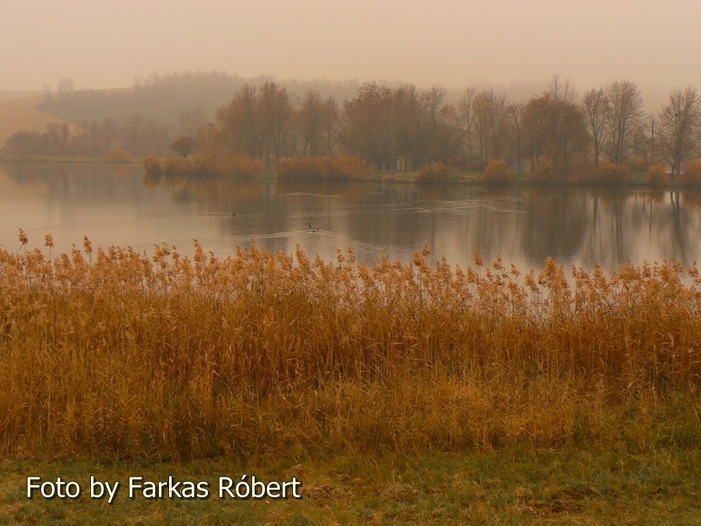 Szekszárd, 7100 Hungary by Roba6120