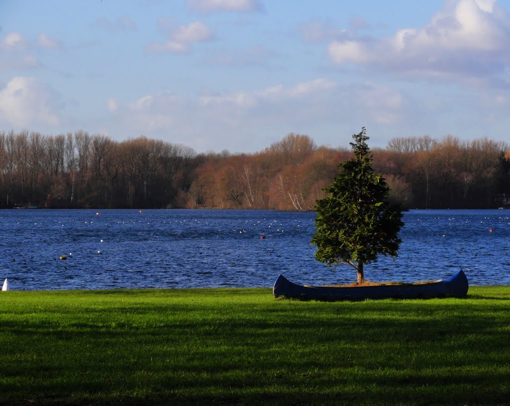 Unterbachersee by Willi Prinz