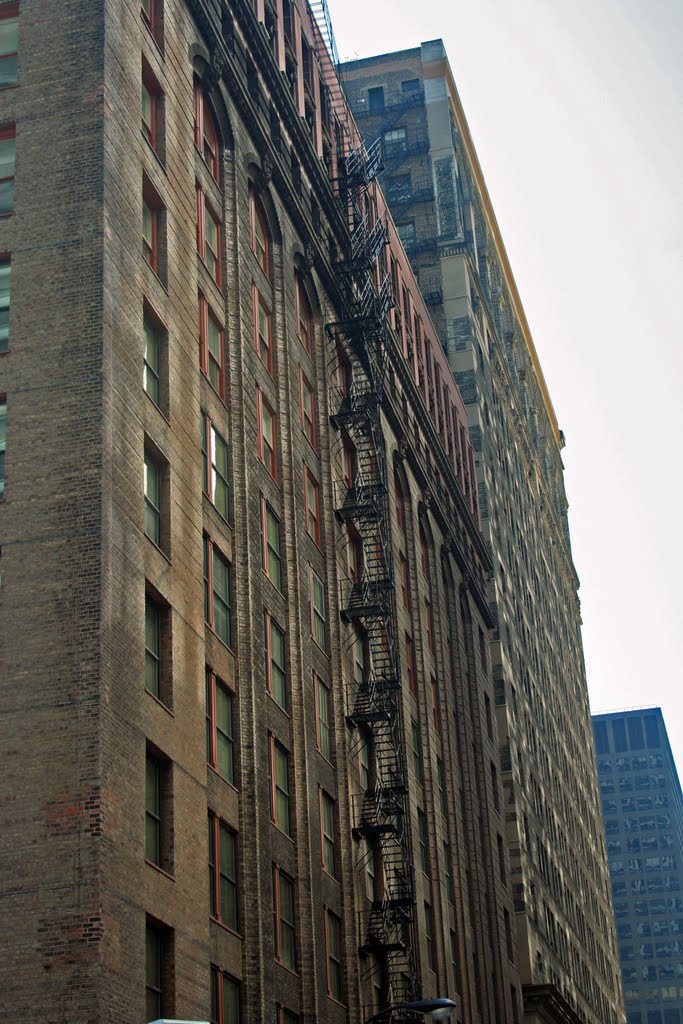 Chicago Loop, Chicago, IL, USA by Don Knight