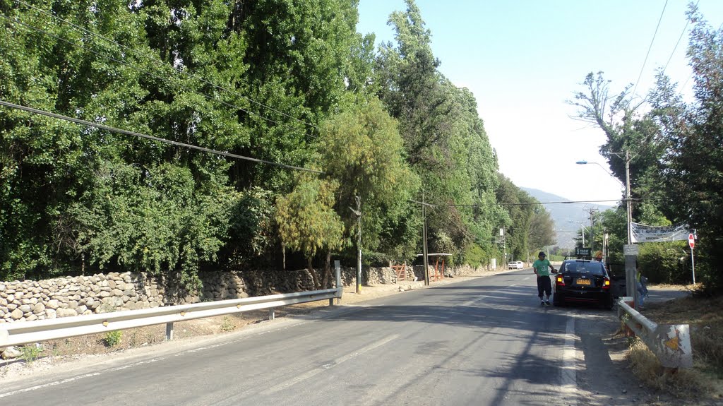 Camino Padre Hurtado, Huelquen r.c.a. by r.castillo