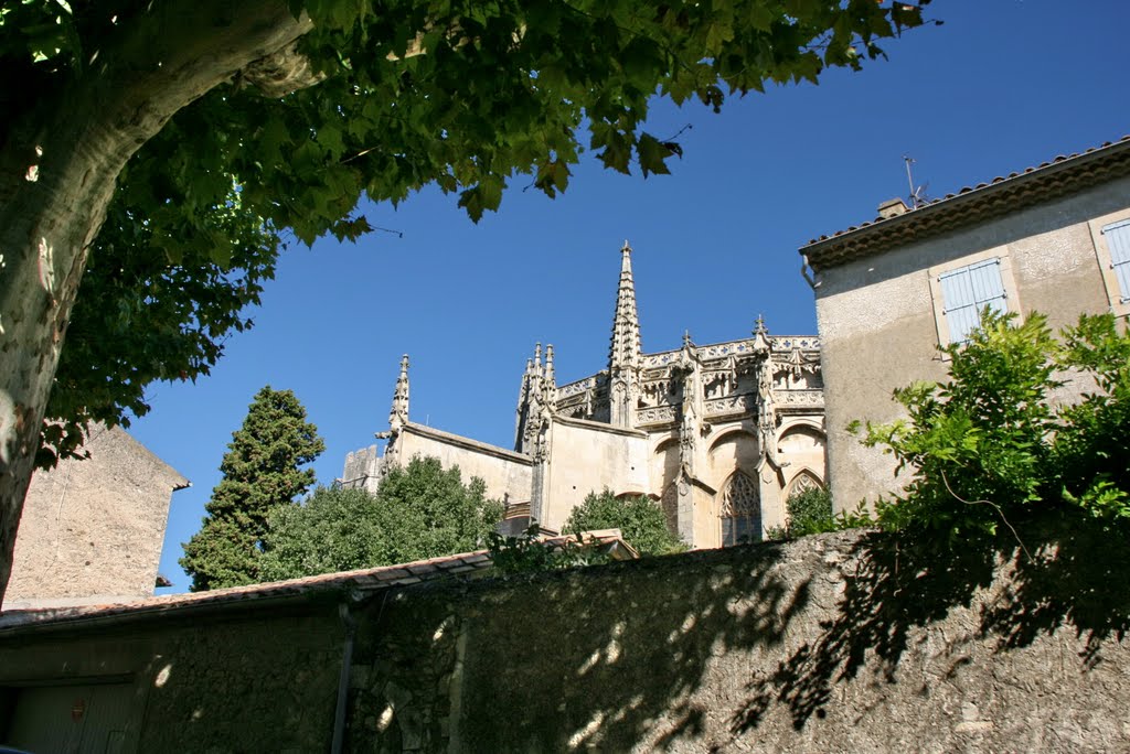 Kathedrale von Viviers by frferdd