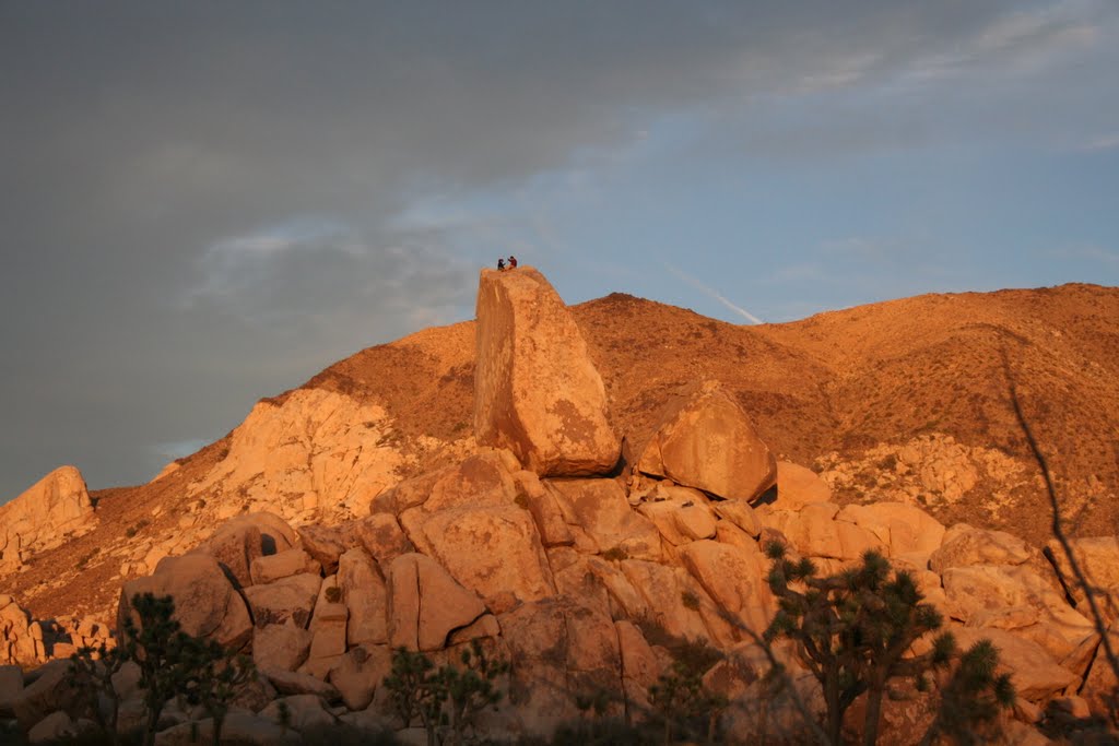 Camping in Joshua Tree National Park, Chuckwalla, CA by Christian Danis