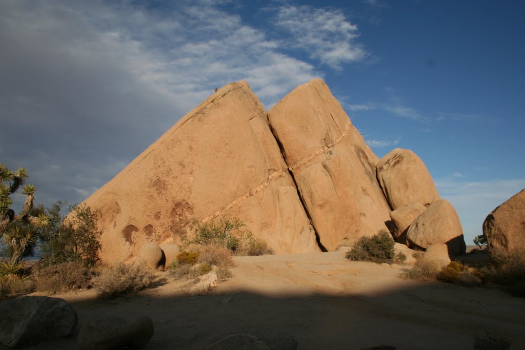 Loop Rd Joshua Tree National Park, Chuckwalla, CA by Christian Danis