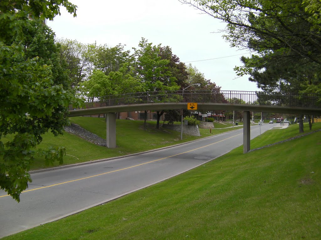 Black Creek, Toronto, ON, Canada by E. Victor C.