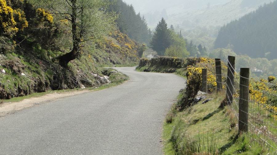 Wicklow Mountains - Military Road by thomashu