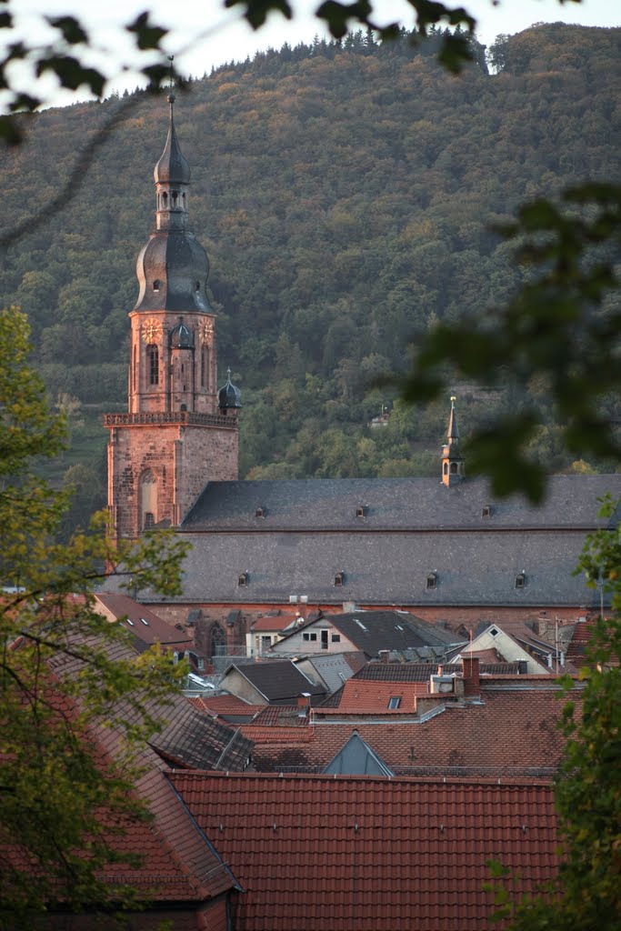 Heidelberg by VeraDaSilva