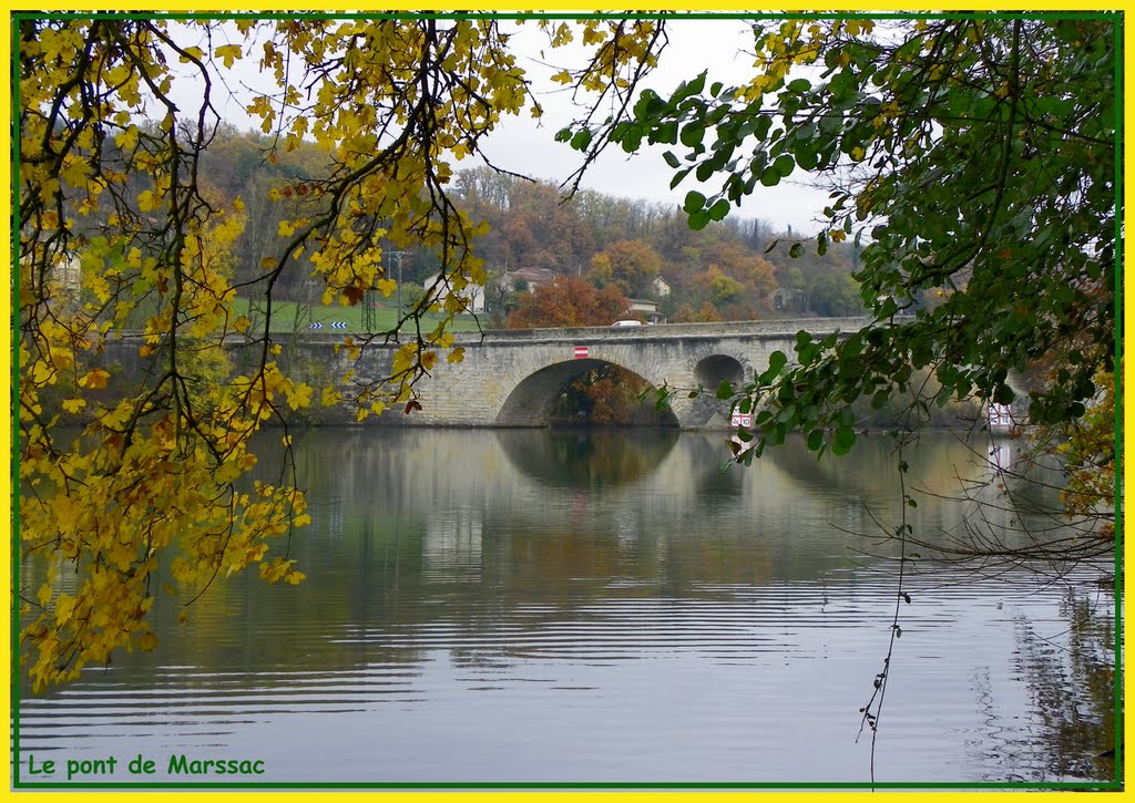 Le Tarn au pont de Marssac. by Jean THIERS