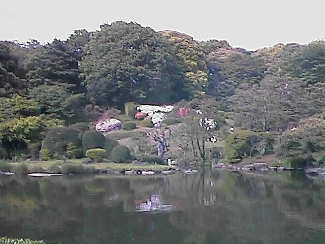 小石川植物園日本庭園 by kajikawa