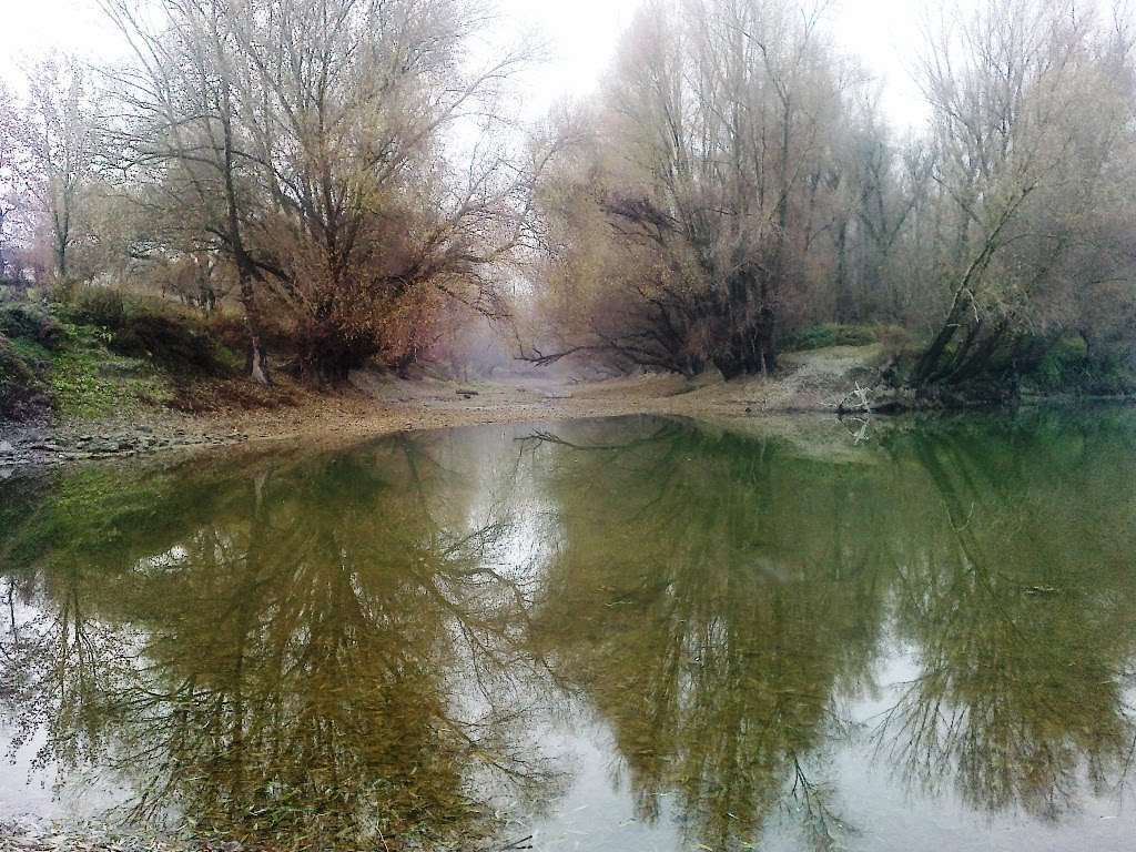 Extreme low water level of river Danube at Dunaújváros by Lajos Antal