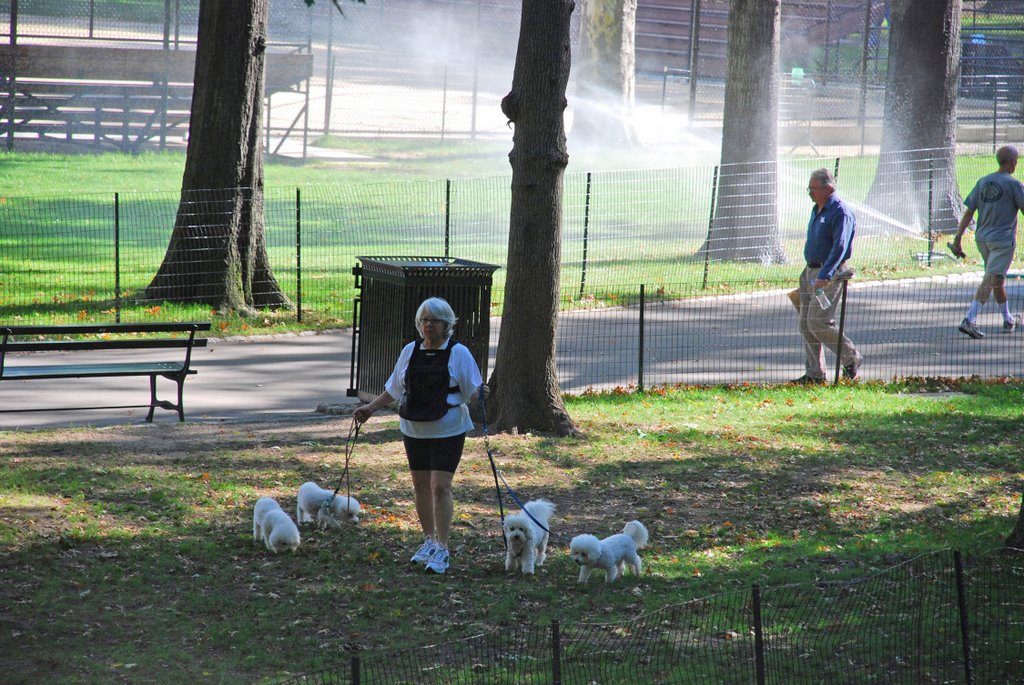 Lady dog walker, Central Park, New York by nigelabbey