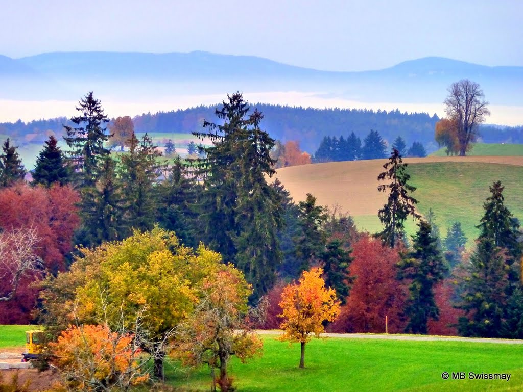 Mb - 03.11.11 - View across the colourful Fields and Woods to the Jura Mountains (North) - Nebel über dem Schweizer Mittelland - "...Der kleine vorwitzige Baum in der Mitte hat es mir angetan." (Cochise) by ♫ Swissmay