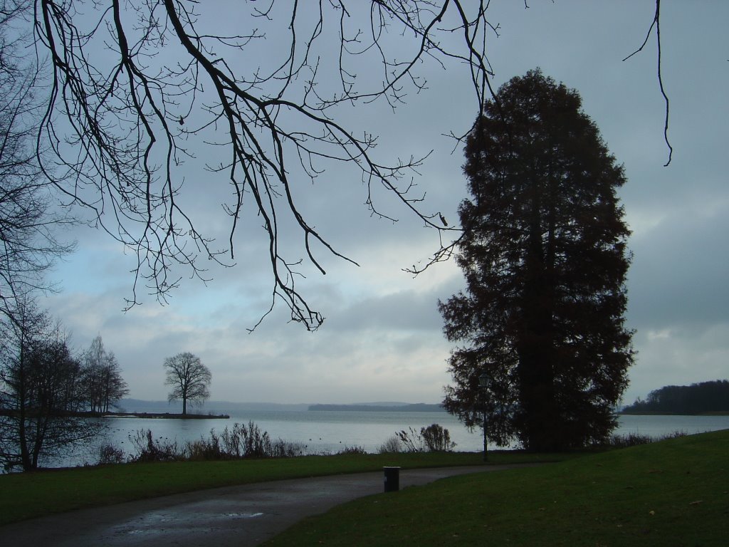 Am Schweriner See by Lecleire Jacques