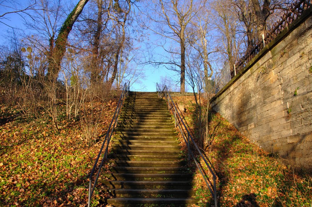 Treppe by Lady A