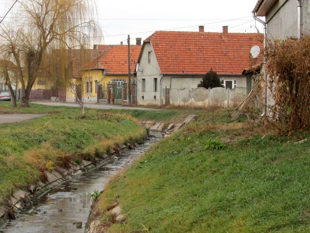 201112091042 Mezőkövesd, Patak utca by Harmadik