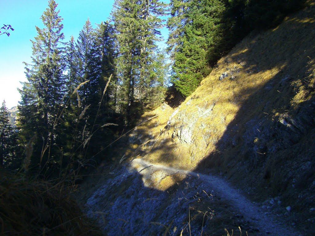 Leseweg (Wanderweg) hinter dem Nob by Ph. Hangartner