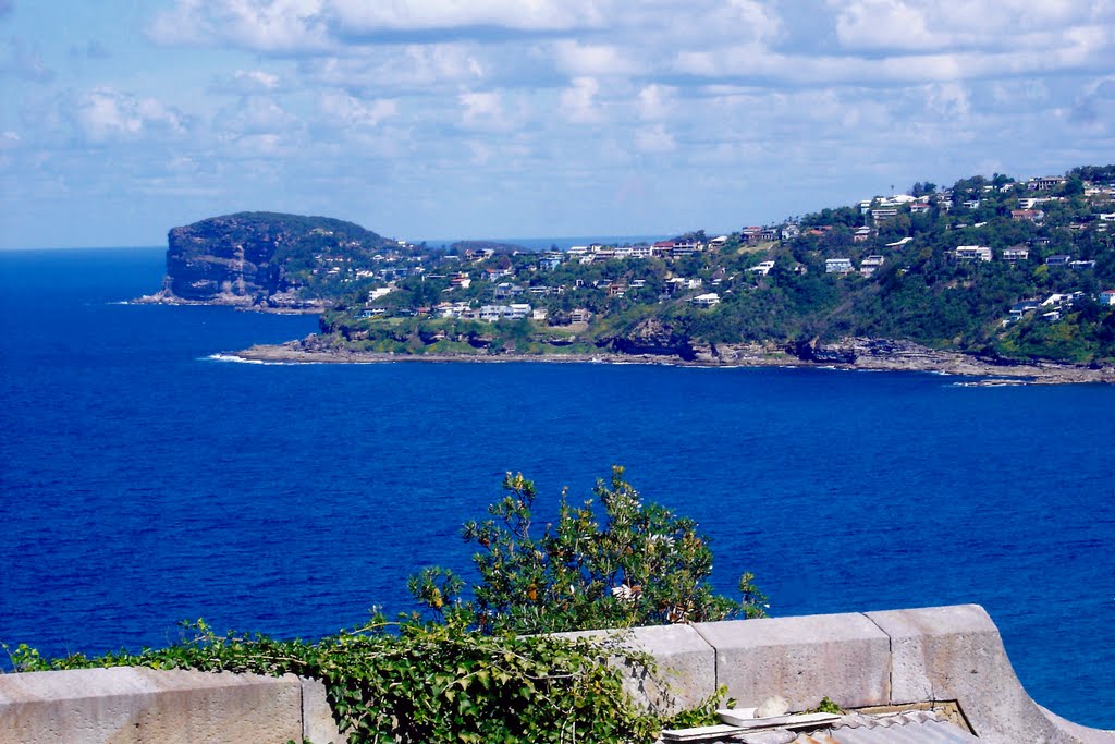 View along the Northern Beaches by dawnzandstra