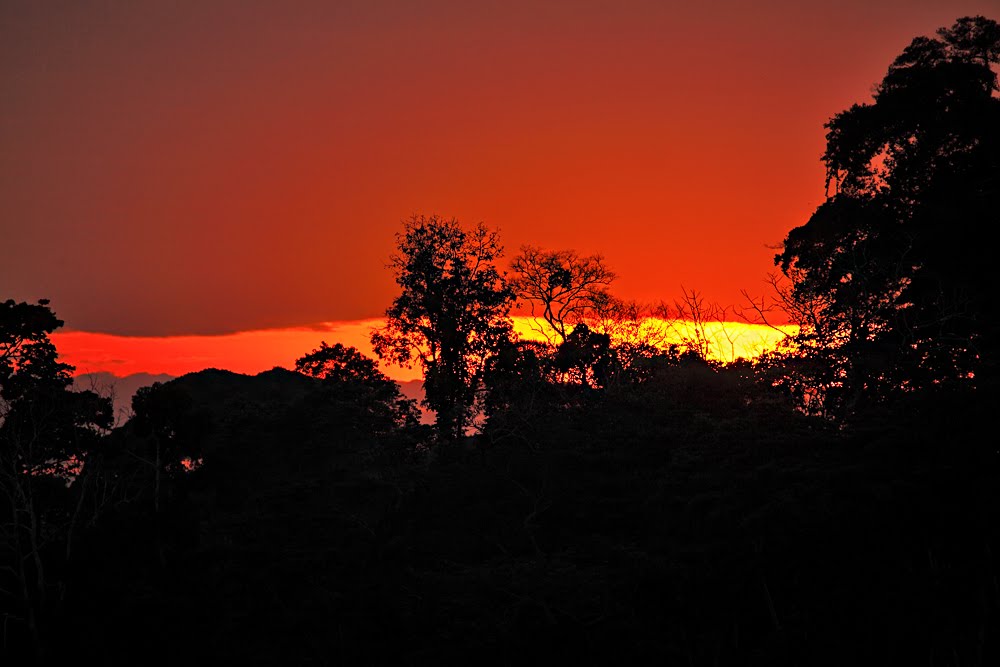 AMANECER EN RIO TAMBOPATA-PERU by jian ping yan（雨龙）