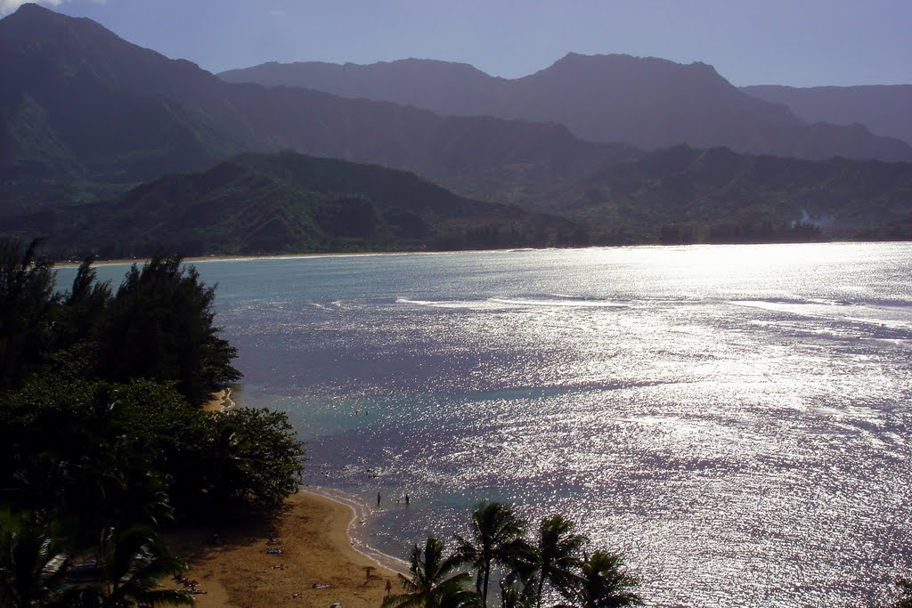 View to the Na Pali from The St Regis Princevill by dawnzandstra