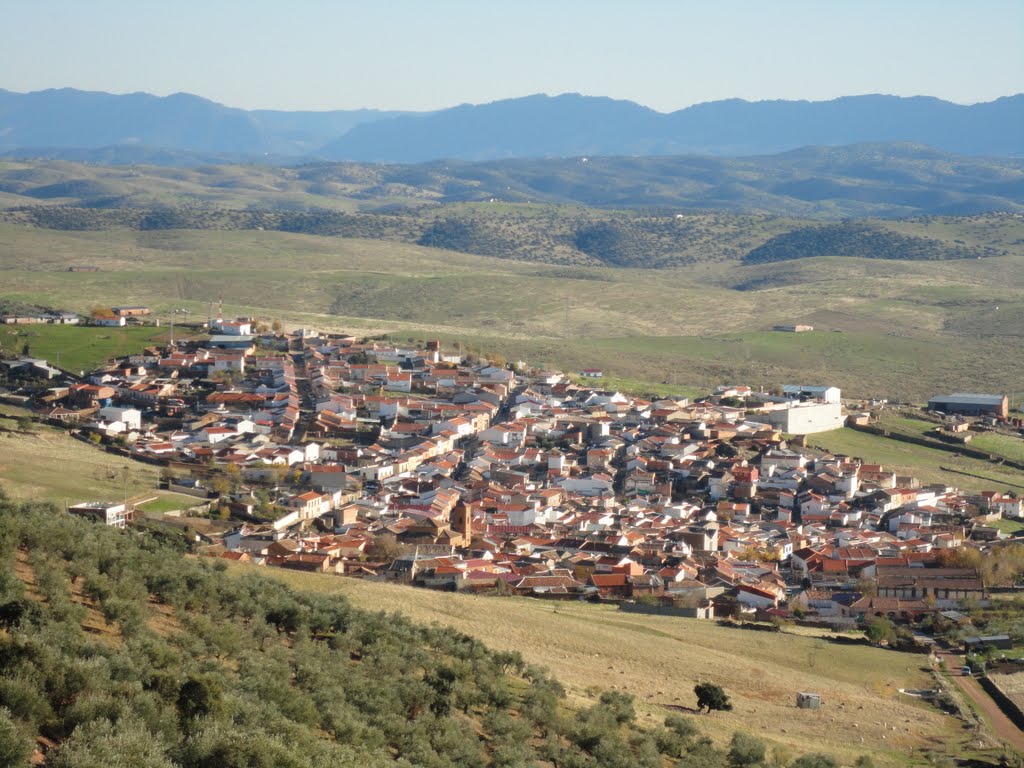 HINOJOSAS DESDE LOS OLIVOS by chemacaste