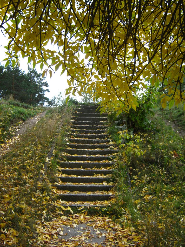 Autumn stair by la_parisien