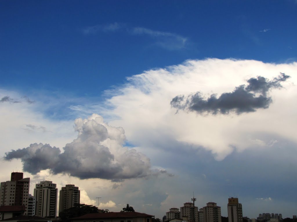 Lá vem as chuvas de verão... São Paulo, SP, Brasil. by André Bonacin